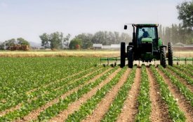 Precariedade laboral tomou conta do sector agrícola