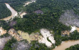 Aumento da exploração mineira ilegal na Amazónia atinge em força as áreas indígenas