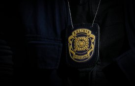 Críticas à reestruturação da Cooperação Policial Internacional