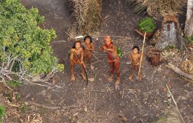  Senado brasileiro vai investigar massacre de índios isolados no Amazonas