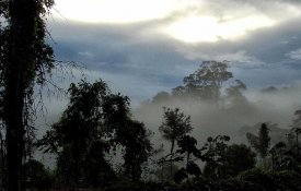  Temer extingue reserva na Amazónia para exploração de ouro
