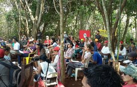  «Sem terra» são atacados a tiro no estado brasileiro de Goiás