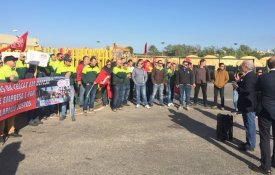 Mais uma greve de adesão massiva na CelCat