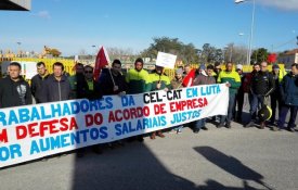  Trabalhadores da CelCat voltam à greve
