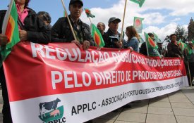 CNA denuncia mais incentivos para travar a produção de leite