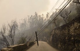  Efeitos dos incêndios são agravados pela privatização das telecomunicações
