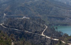 Após os incêndios florestais, que fazer no terreno da calamidade?