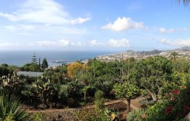 Falta de condições laborais no Jardim Botânico da Madeira