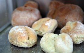 Na Padaria Setpão, provou-se que com os direitos laborais não se faz farinha