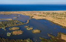 Silves não abdica da criação da Reserva Natural da Lagoa dos Salgados