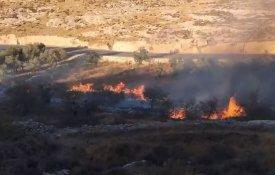 Documentados 900 incêndios provocados por colonos e tropas israelitas desde 2023