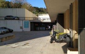 Greve no Arquivo Municipal de Lisboa pela «memória histórica e cultural»