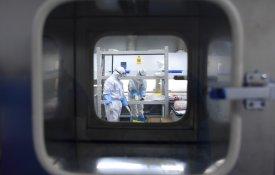 No ano segundo de uma nova pandemia