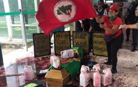 Mulheres do MST ocuparam o Ministério da Agricultura em Brasília