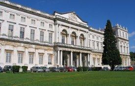 Associação de Museus quer perceber o que levou um gestor imobiliário à DGPC
