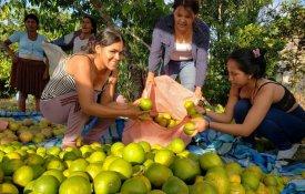 Governo golpista na Bolívia «disfarça erros» com ataques ao MAS