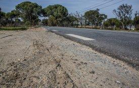 Presidente de Alcácer do Sal exige intervenção urgente no IC1 e na EN253
