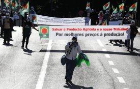 PAC: Plano estratégico corta apoios a pequenos e médios agricultores