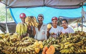Aquisição de alimentos da agricultura familiar nos mínimos com Bolsonaro