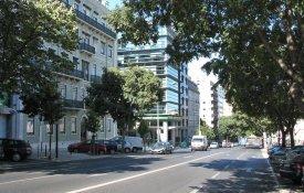 Espaços verdes de Lisboa devem ser «estruturantes»