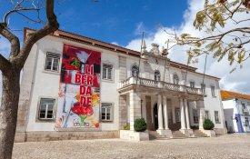 Moita prepara construção de Centro de Recolha de Animais Errantes