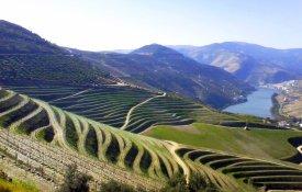 O «Benefício» é a pedra-angular desta região demarcada do Douro
