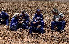Resgatados no Brasil 271 trabalhadores em condição análoga à escravidão