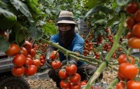 Cidadãos imigrantes realojados pelo município de Serpa
