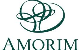 Paula Amorim, a CEO que nunca foi menina