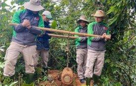 Vietname faz balanço de dez anos para detectar minas e bombas por explodir