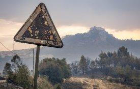 Incêndios: CNA solidária com populações e relembra corte de 44% de apoios à floresta