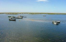 A seca no Algarve é recorrente, ao contrário das soluções