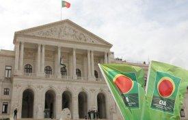 CNA diz ao novo Governo quais devem ser as prioridades para o sector agrícola  