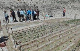 Covilhã: Bairro das Nogueiras tem horta comunitária