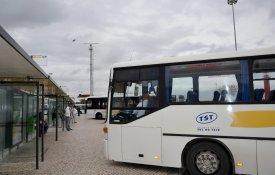 Lay-off na TST «deu cobertura a novos cortes na oferta»