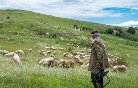 50 anos depois da Revolução, agricultores vêem-se novamente privados dos baldios