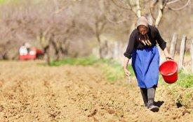2026 é Ano Internacional da Mulher Agricultora