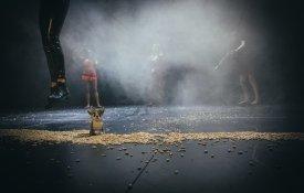 Teatro da Garagem apresenta “Passos na Floresta” no Teatro da Cerca de São Bernardo