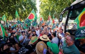 Viticultores do Douro reclamam medidas urgentes para a região