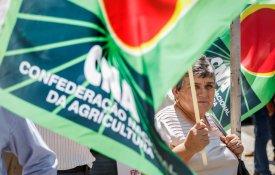 CNA exige indemnizações urgentes e apoio excepcional