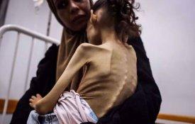 Alerta para «o caos e a fome» que Israel propaga na Faixa de Gaza