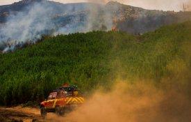 Incêndios: “Os Verdes” defendem que Governo deve explicações ao país 
