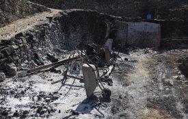 CNA denuncia apoio «escasso» a agricultores vítimas dos incêndios