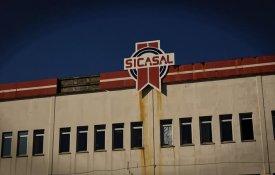 Sicasal: uma «marca líder» em situação de insolvência