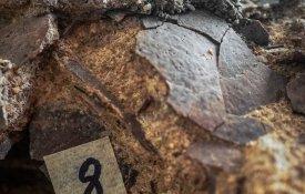 Descoberto em Torres Vedras ninho com ovos de dinossauro com 150 milhões de anos