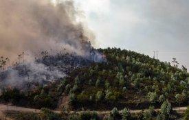 Desfolhemos a «Reforma das Florestas»… Ou vejamos por trás da «fumaça»…