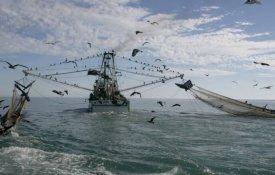 Luta dos inspectores das pescas vai continuar