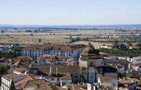 AMAlentejo prossegue com vista à Regionalização 