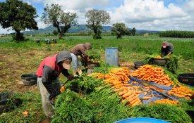 Trabalhadores estrangeiros vítimas de tráfico humano resgatados