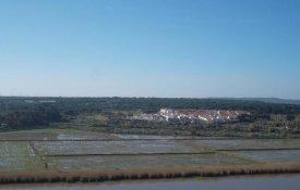 Câmara de Alcácer do Sal apoia produtores de arroz